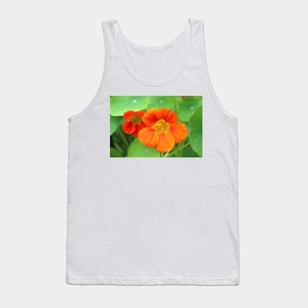 Nasturtium Flowers Tank Top by pinkal